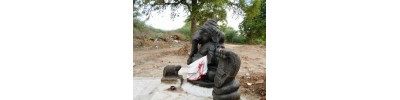 பிரமனூர்